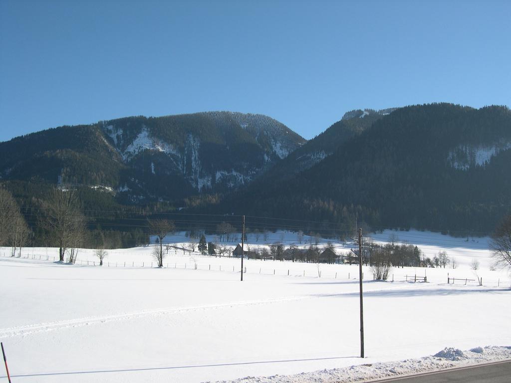 Bauernhof Plachl Villa Lassing  Bagian luar foto